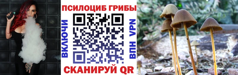 Купить  Старый Крым  Псилоцибиновые грибы GOLDEN TEACHER 